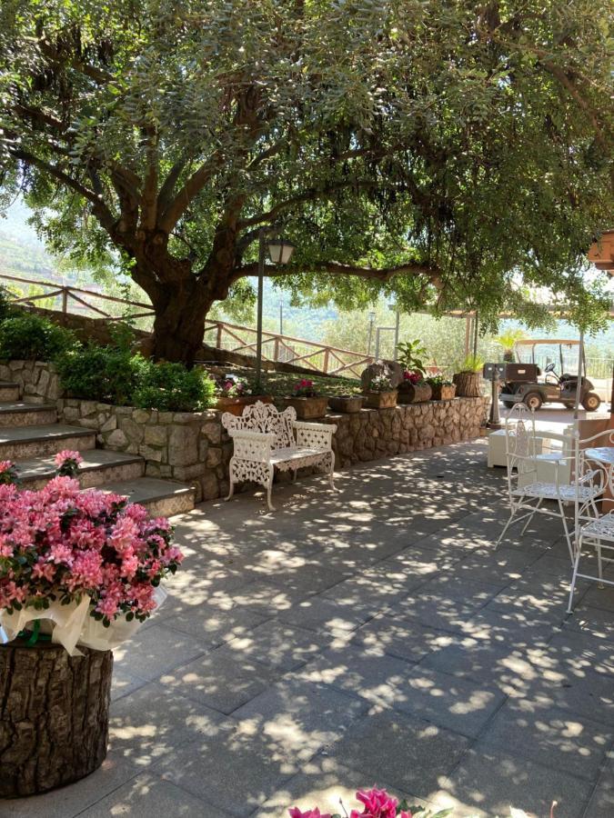 Agriturismo Nonno Luigino Vico Equense Exterior foto