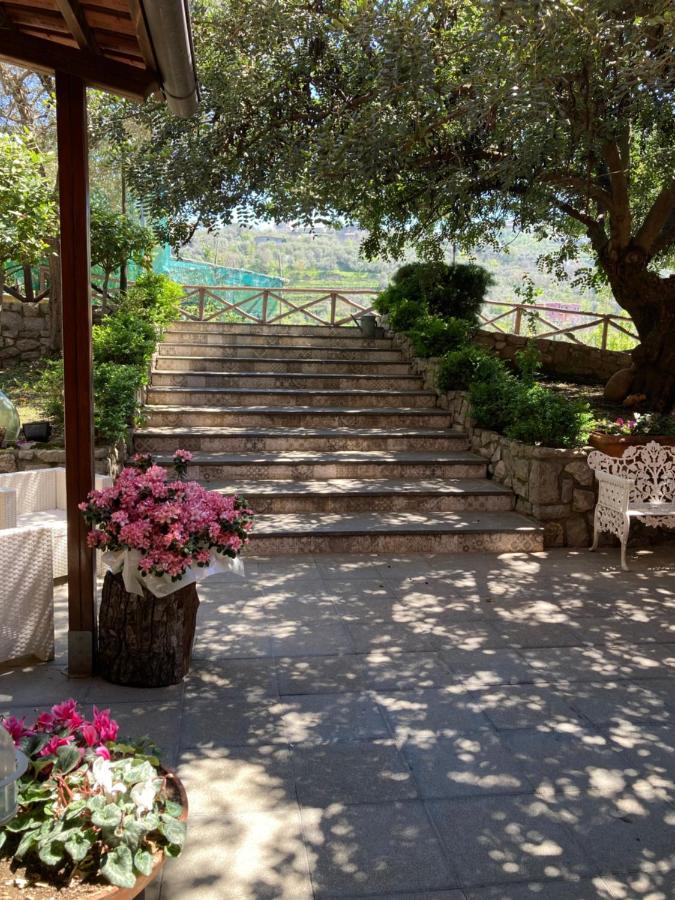 Agriturismo Nonno Luigino Vico Equense Exterior foto